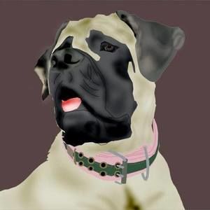 Meet your Posher, Lora